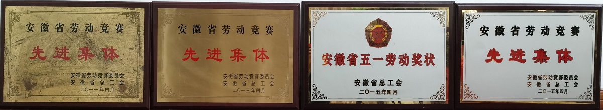 院獲獎(jiǎng)獎(jiǎng)牌1